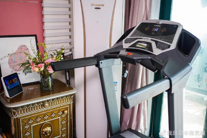 牌子减震跑步机好吗_牌子减震跑步机好用吗知乎_跑步机 减震什么牌子好