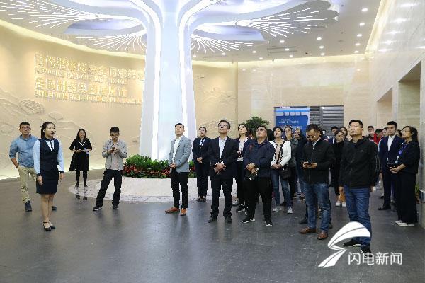 脉络舒通丸的成份_脉络舒通丸_脉络舒通丸的用法与用量