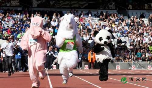 校运动会新闻稿