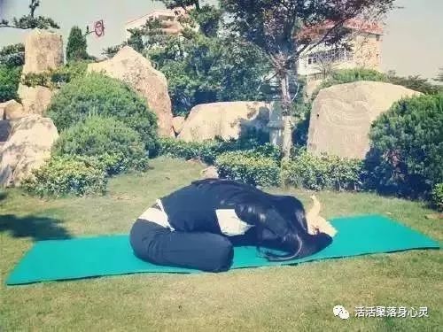 盘腿打坐怎么练_盘腿打坐初学视频_打坐盘腿练习方法——双盘