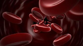 练习瑜伽月经提前半个月_调节月经瑜伽动作_月经瑜伽体式