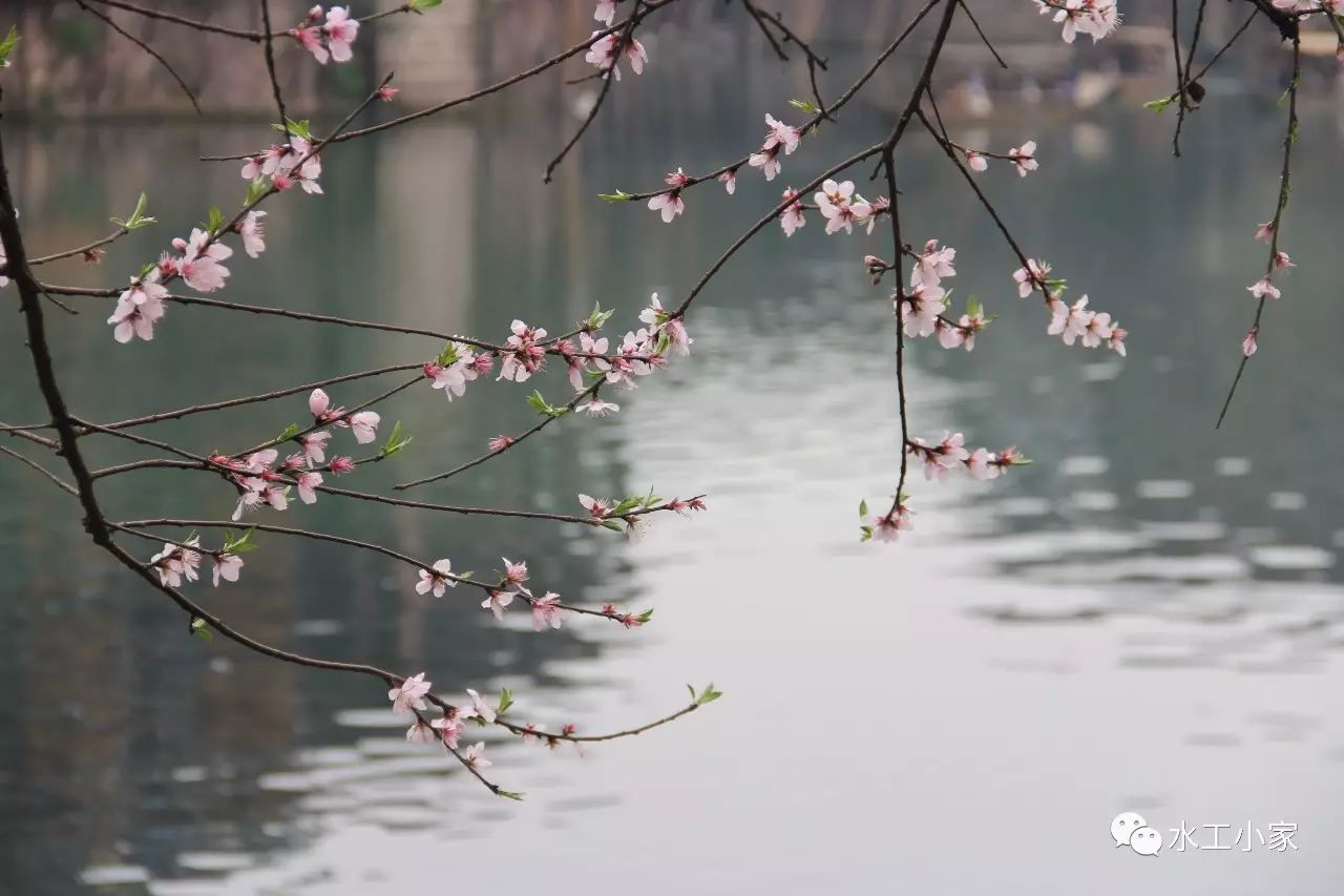 通讯体裁事迹材料特点_什么是通讯体裁特点_通讯体裁事迹材料600字