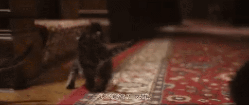 小海蒂练习_小海蒂出题_小海蒂100题选择题