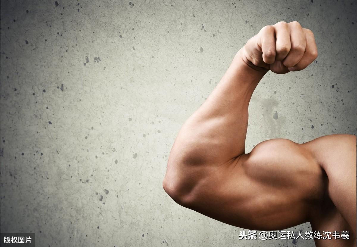 kaiyun下载app下载安装手机版 你可能没有做过的5种二头肌锻炼方法：