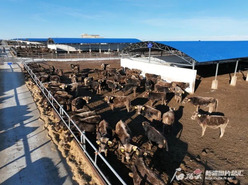 新闻近期国内事件_近期国内新闻_新闻近期国内外大事