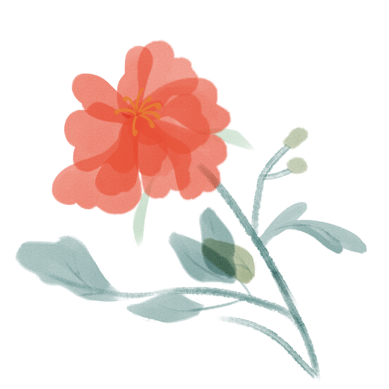 通讯稿校运会100字范文大全_校运会通讯稿100字_通讯稿校运会15字