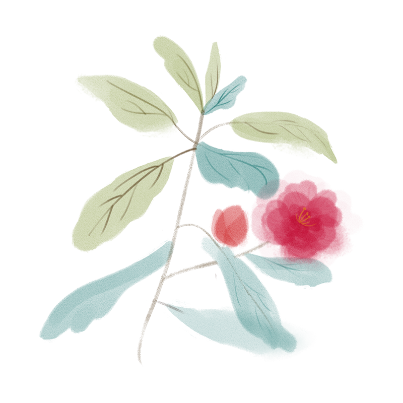 通讯稿校运会100字范文大全_校运会通讯稿100字_通讯稿校运会15字