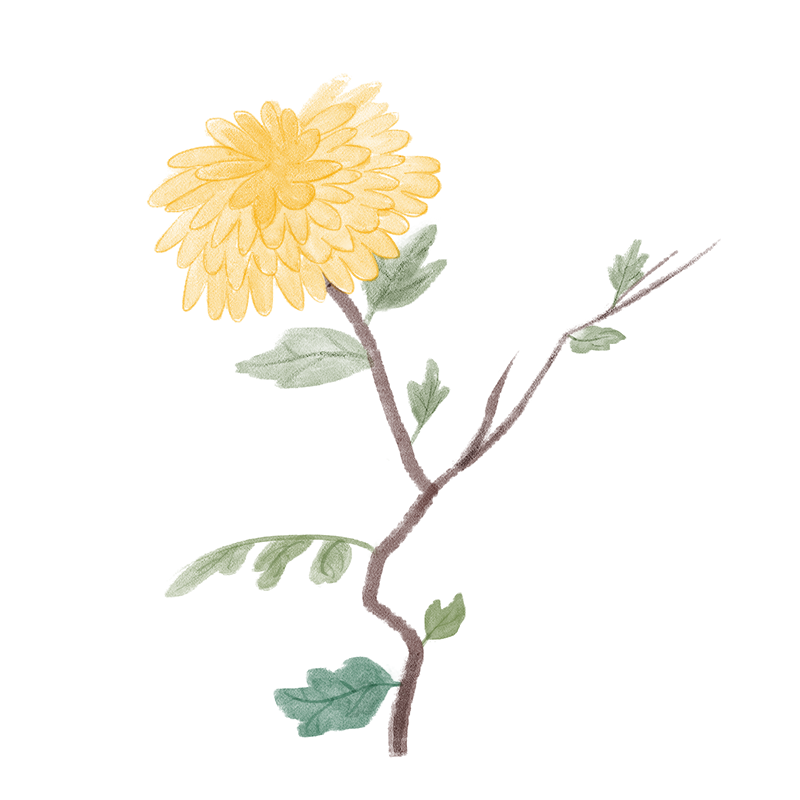 通讯稿校运会100字范文大全_通讯稿校运会15字_校运会通讯稿100字