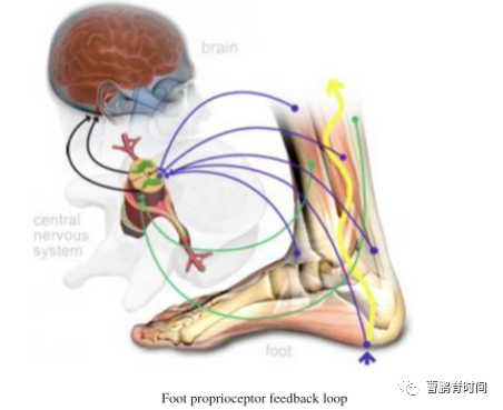 健身手套紧的好处_健身手套越紧越好吗_手套太紧会怎么样