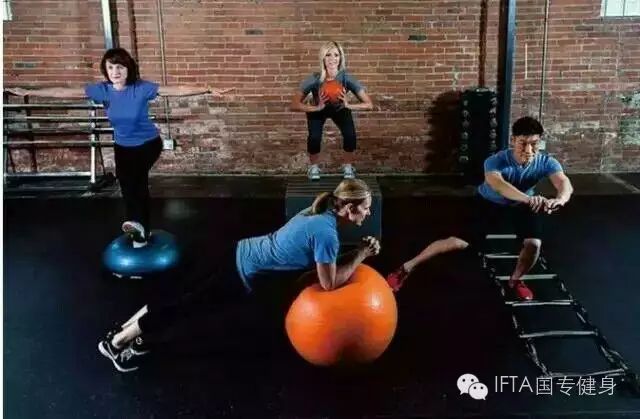 开元棋app官方下载 PFT专业私教小工具培训课程《Professional Fitness Trainer》