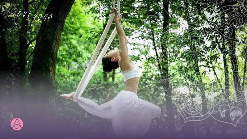 综合训练器锻炼视频教程_综合训练器使用_北京综合训练器