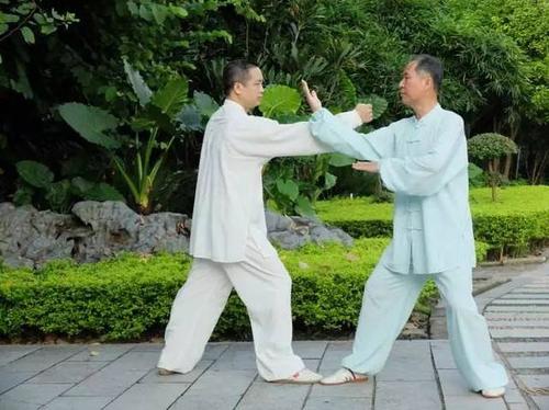 武术拳基本动作_武术基本功练习拳法_武术基本功教程