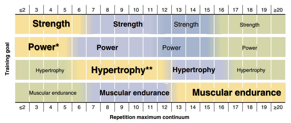 力量综合训练器怎么样_力量综合训练器怎么样_力量综合训练器怎么样
