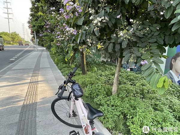 手套牌子健身好用吗_健身手套什么牌子的好_手套牌子健身好吗