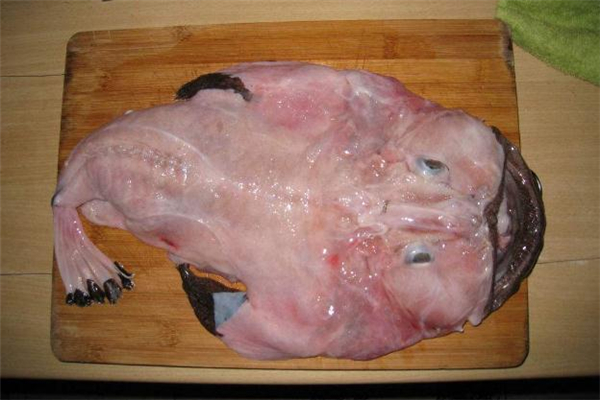 安康鱼的做法 安康鱼怎么做比较好吃