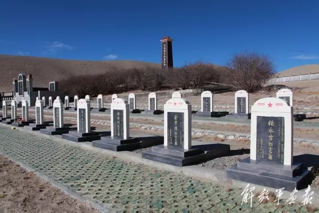 张浩 中国港湾_中国港湾张志峰_中国港湾董事长简历