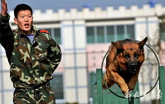 中国港湾张志峰_中国港湾董事长简历_张浩 中国港湾