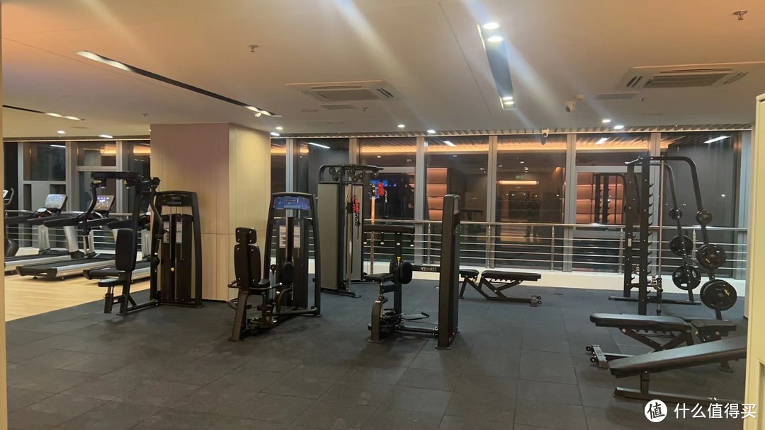 综合训练器 史密斯机_史密斯综合训练器使用方法_史密斯机综合训练器哪个牌子好