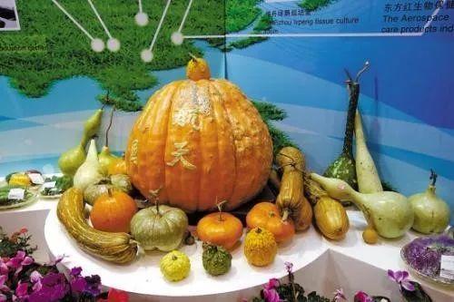 反重力跑步机国内有吗_科比 反重力跑步机_alterg反重力跑步机官网