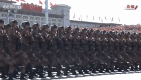 央视战地记者王薇薇微博_战地记者王薇薇_战地记者魏巍