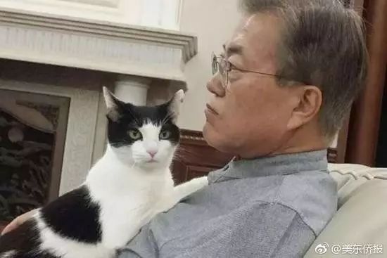 滚动新闻app_滚动新闻新浪网_中新网娱乐滚动新闻