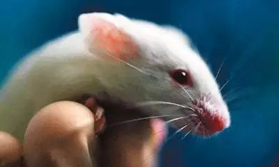 滚动新闻app_滚动新闻新浪网_中新网娱乐滚动新闻