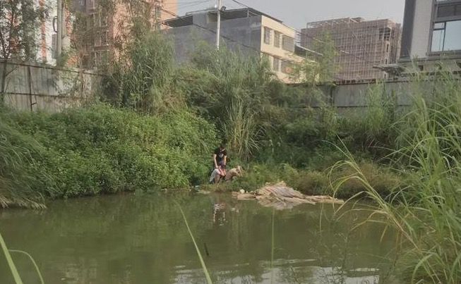 东莞碰瓷党2019_东莞碰瓷_石碣碰瓷党