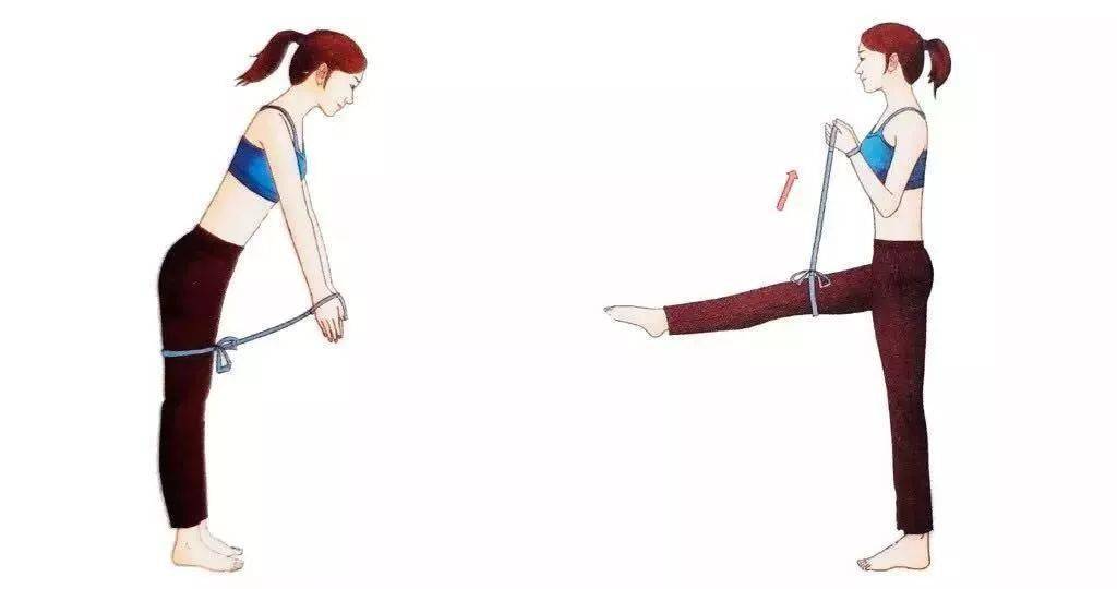 kaiyun下载app下载安装手机版 膝关节