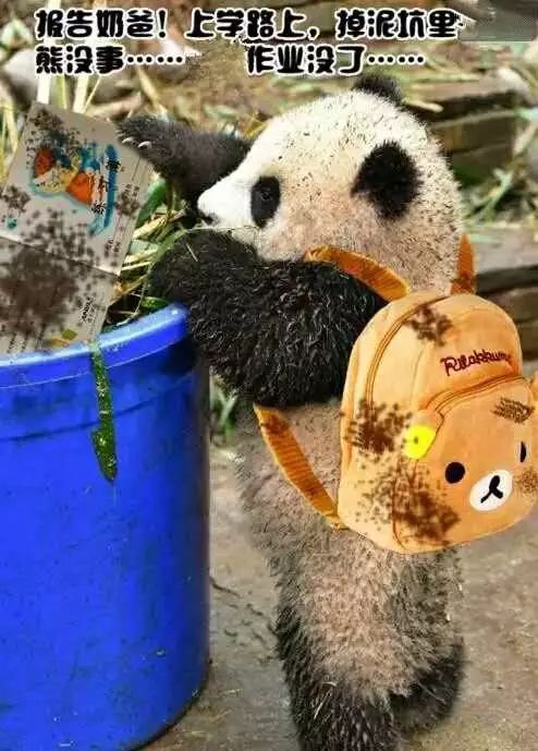 国学经典新闻稿_关于国学的新闻报道_国学电视新闻稿