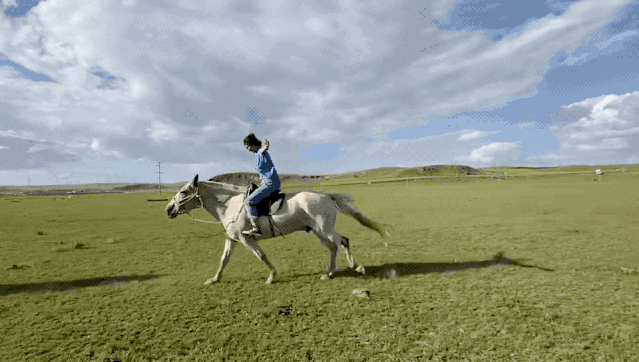 提现服务费合理吗_提现的服务费是什么_取现服务费是什么意思