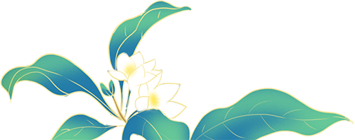 alterg反重力跑步机官网_反重力跑步机 中国_反重力跑步鞋