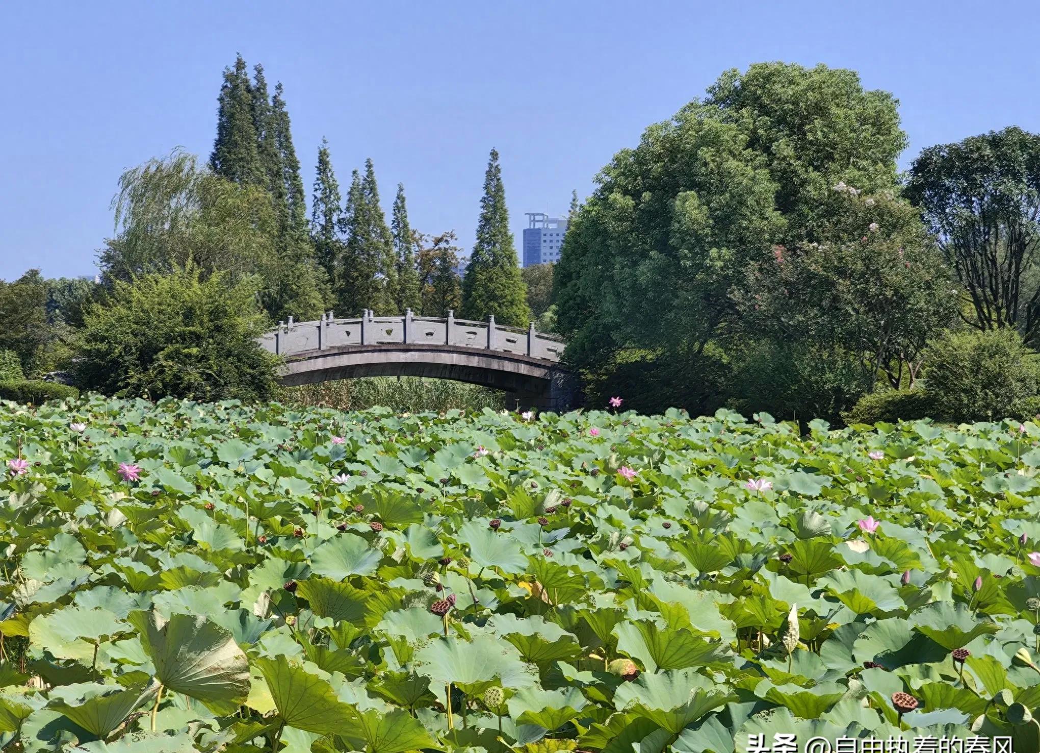 今日股市直播视频回放_炒股视频平台算法_股市直播虚假宣传