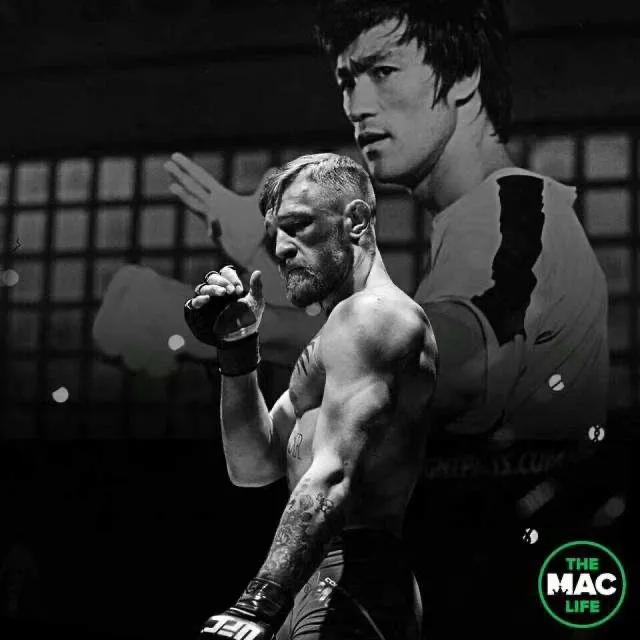 龙门综合训练器_龙门架训练器使用图解_龙门式机体的优缺点