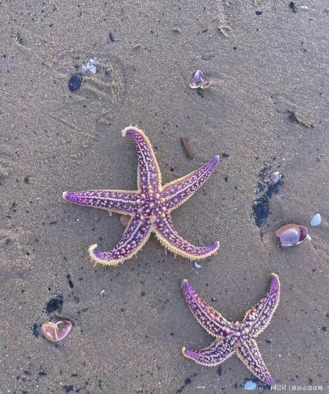 北海5天旅游攻略_吴川旅游景点大全_北海银滩旅游行程