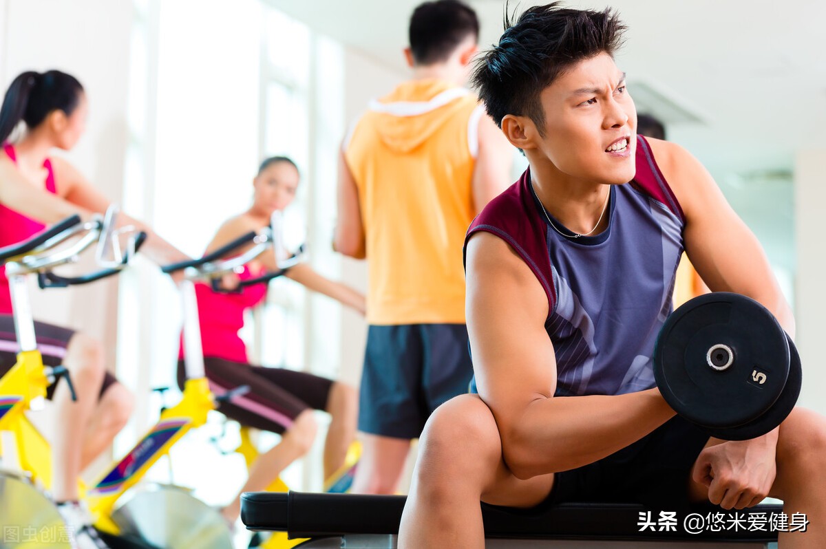 开元棋官方正版下载 这4个健身装备，并不适合新人使用，提升基础力量实现增肌效果