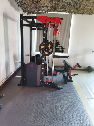 睿致史密斯机家用跑步机质量_睿致史密斯机综合训练器评价_综合训练器怎么样贴吧