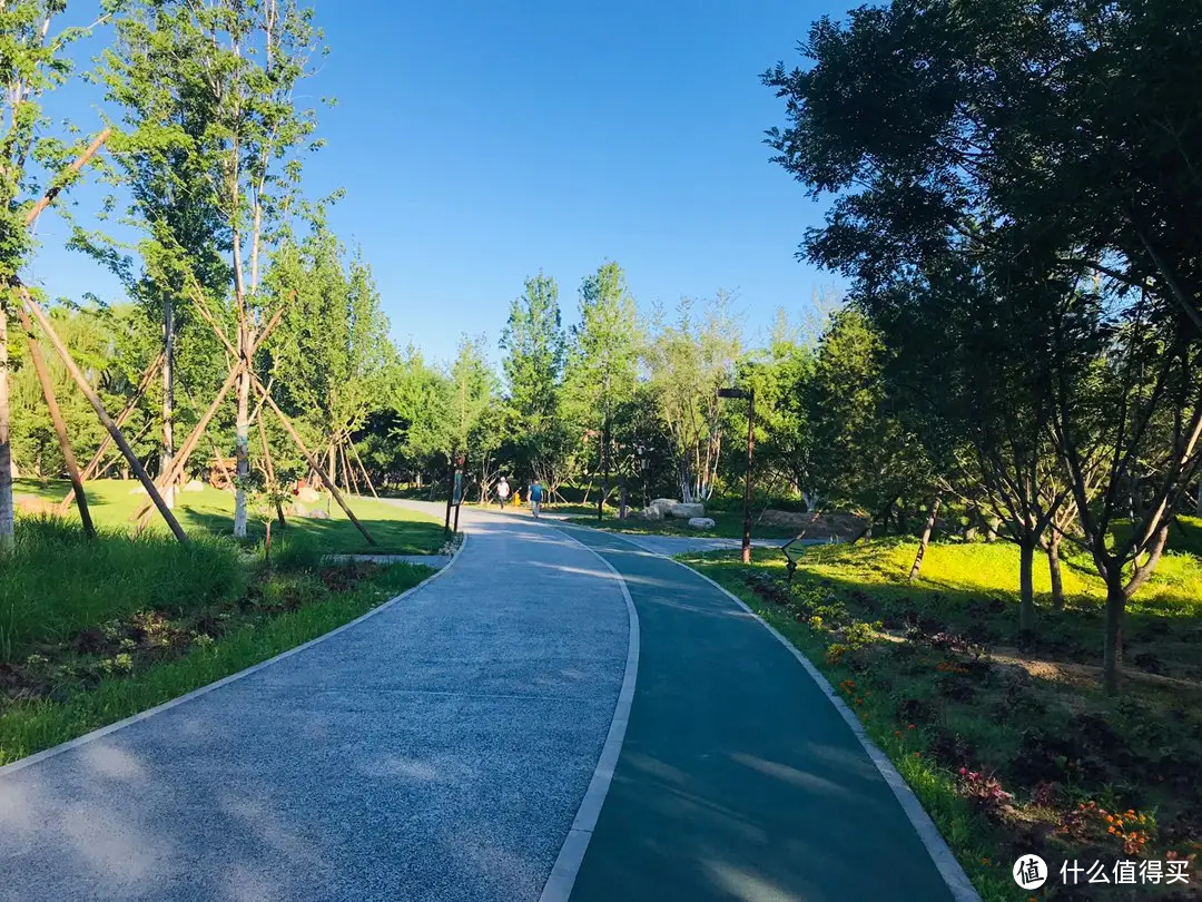 飞鸟训练器练胸肌_飞鸟训练器肌肉示意图_大飞鸟综合训练器