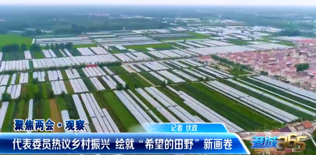 新闻频道报告新港城_港城新闻资讯_2021港城365新闻回放