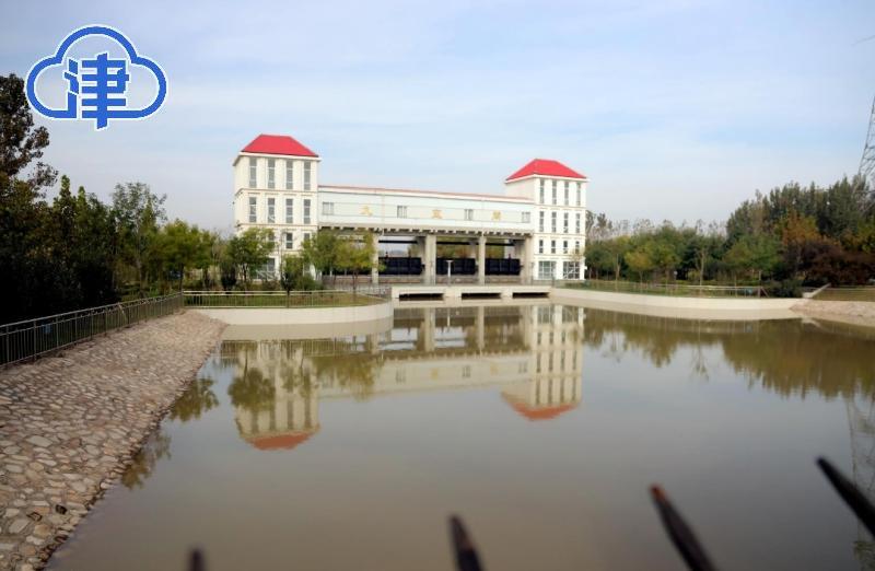 静海运河文化_静海运河历史遗迹_静海荷塘月色