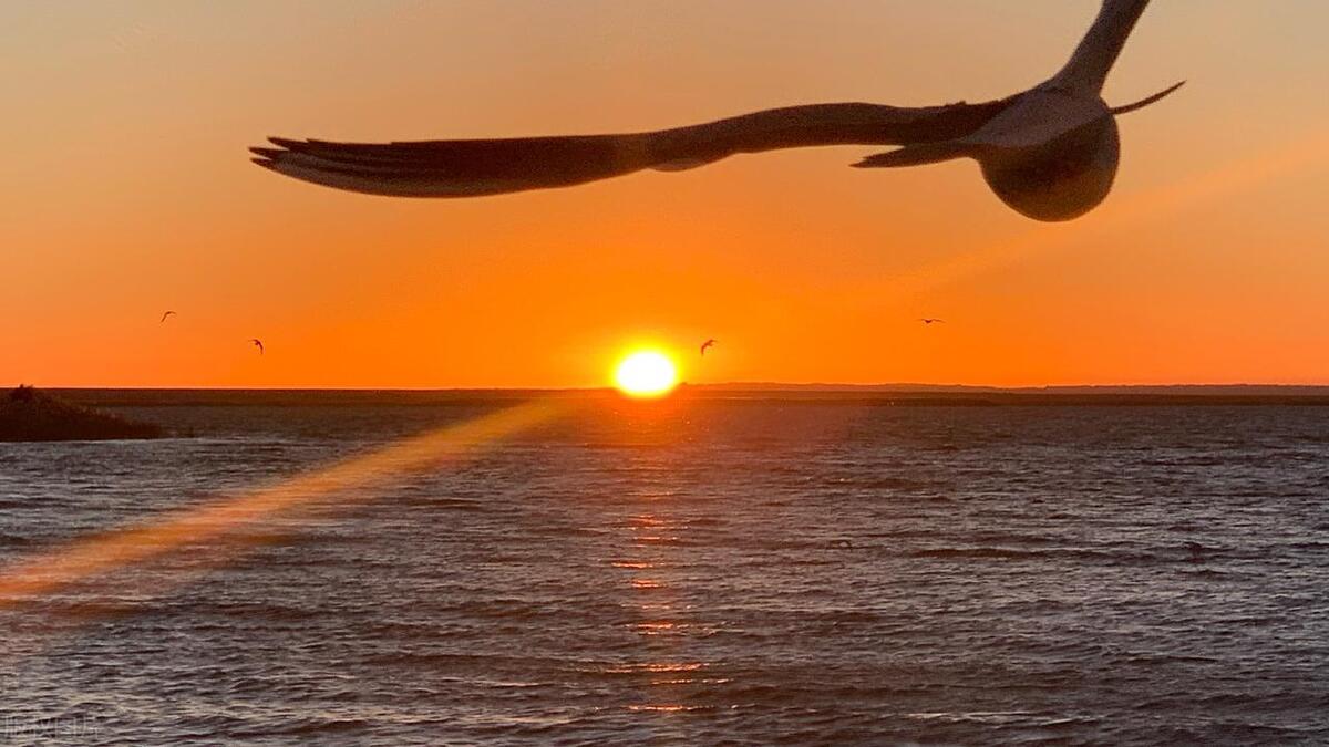 海明威 传奇作家  老人与海  坚定信念  人生挑战_美国战地记者老人与海