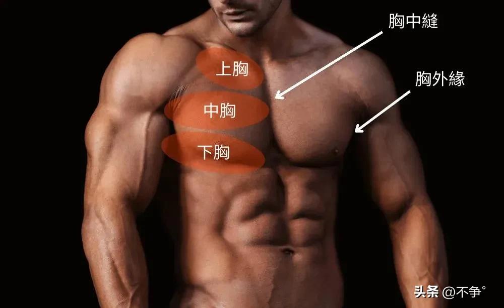 胸肌锻炼器材的使用方法_综合训练器 胸肌_胸肌训练器有用吗