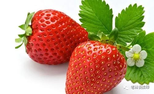 批处理生成文件_批处理文件制作_批处理文件做成服务