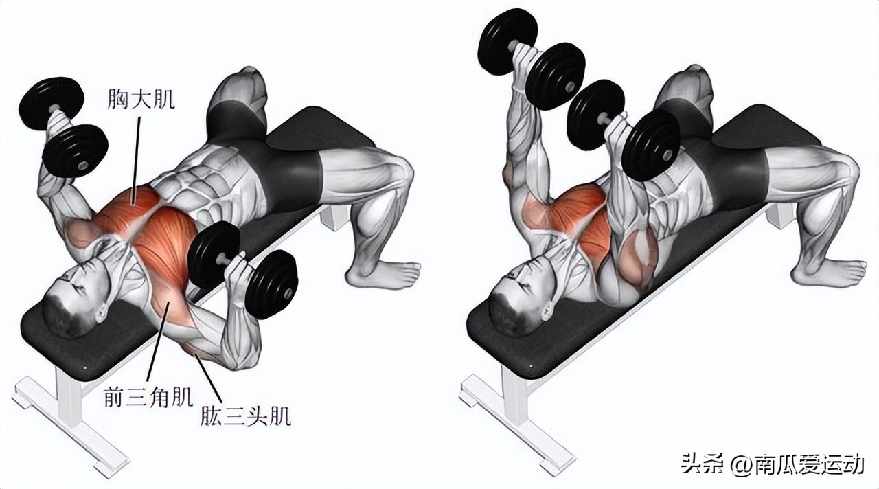 综合训练器 胸肌_高效胸肌打造动作_胸肌训练动作
