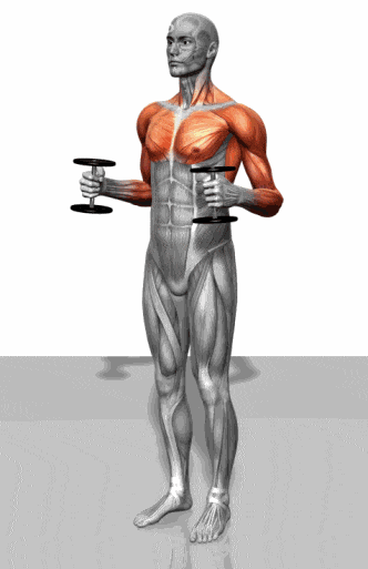 大型全身综合训练器_力量训练延缓衰老_哑铃全身训练教程