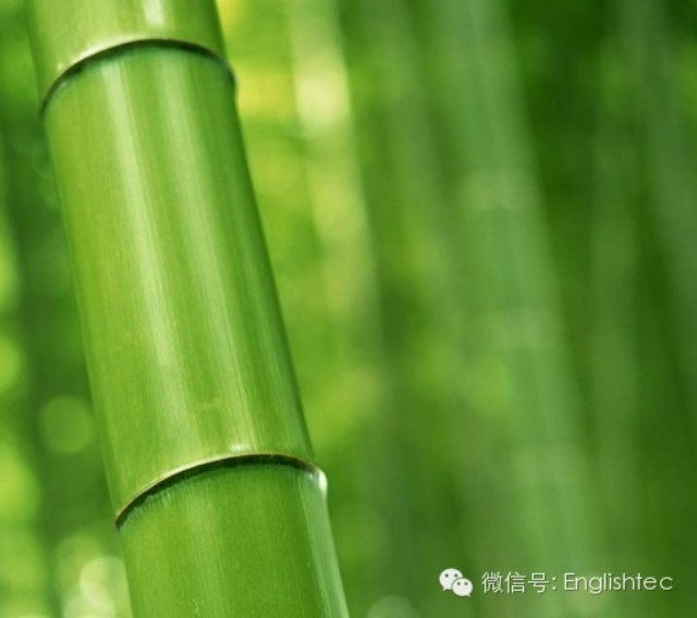 verb ing form object complement predicate adjective_verb ing form adverbial phrase usage_宾语补足语练习