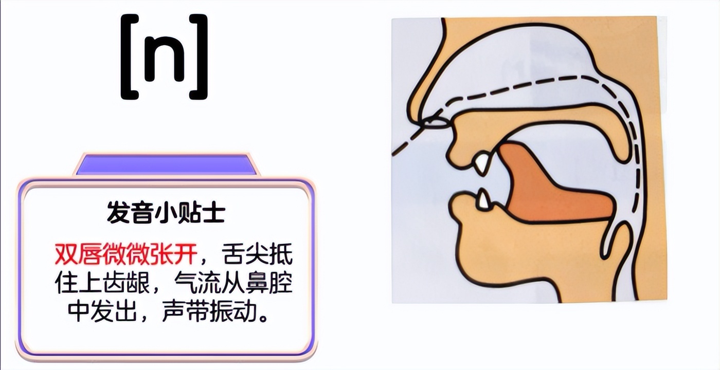 m_国际音标表发音及练习_国际音标辅音鼻音发音教程