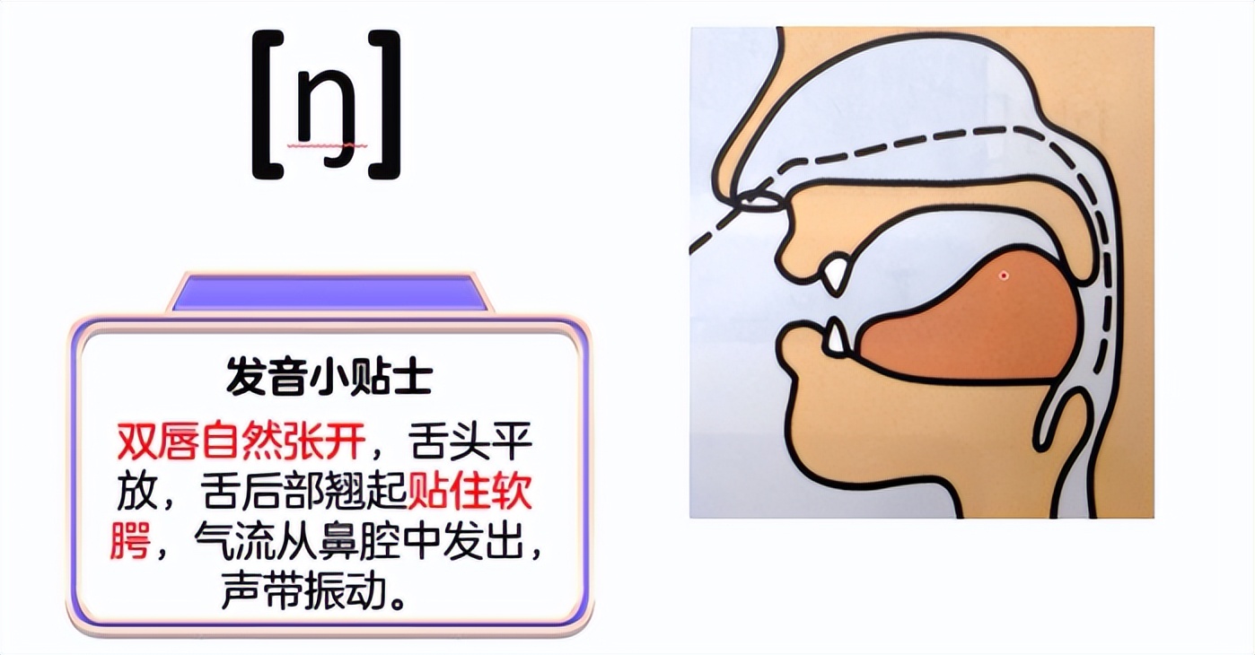 m_国际音标辅音鼻音发音教程_国际音标表发音及练习