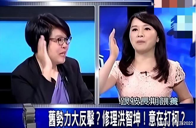 台湾新闻节目_台湾政论节目主持人拍桌怒呛_许贵雅怒拍桌事件