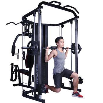 综合训练器排行榜前十名有哪些（健身房健身器材十大品牌）