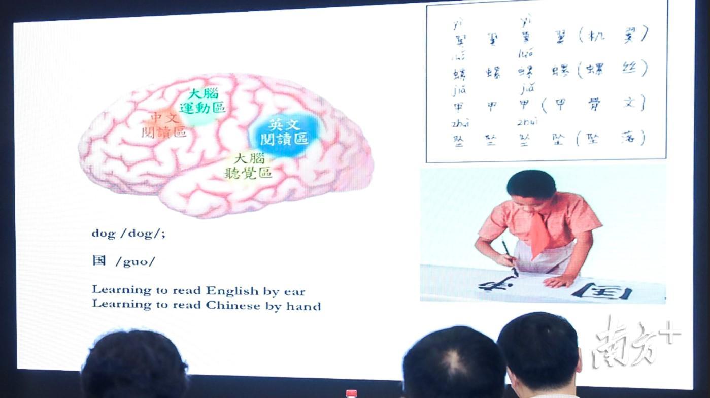 拼音输入法对儿童中文阅读能力的影响_练习拼音打字下载_儿童过度使用拼音输入法影响大脑中文阅读中枢发育